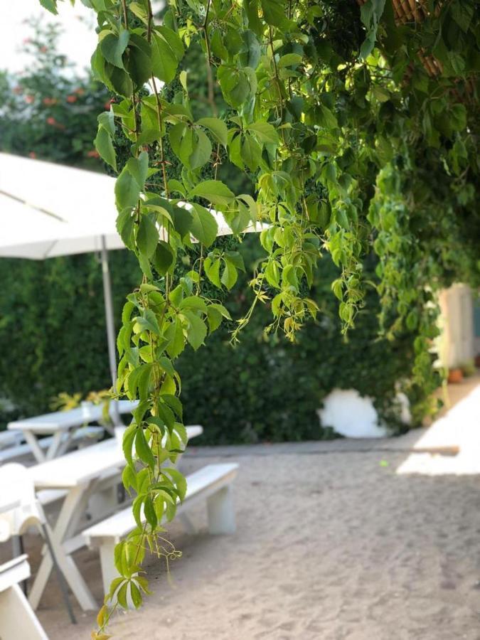 ホテル Casa Stavros ドウア・マ エクステリア 写真