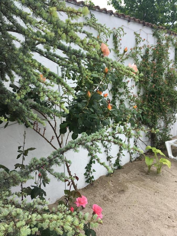 ホテル Casa Stavros ドウア・マ エクステリア 写真